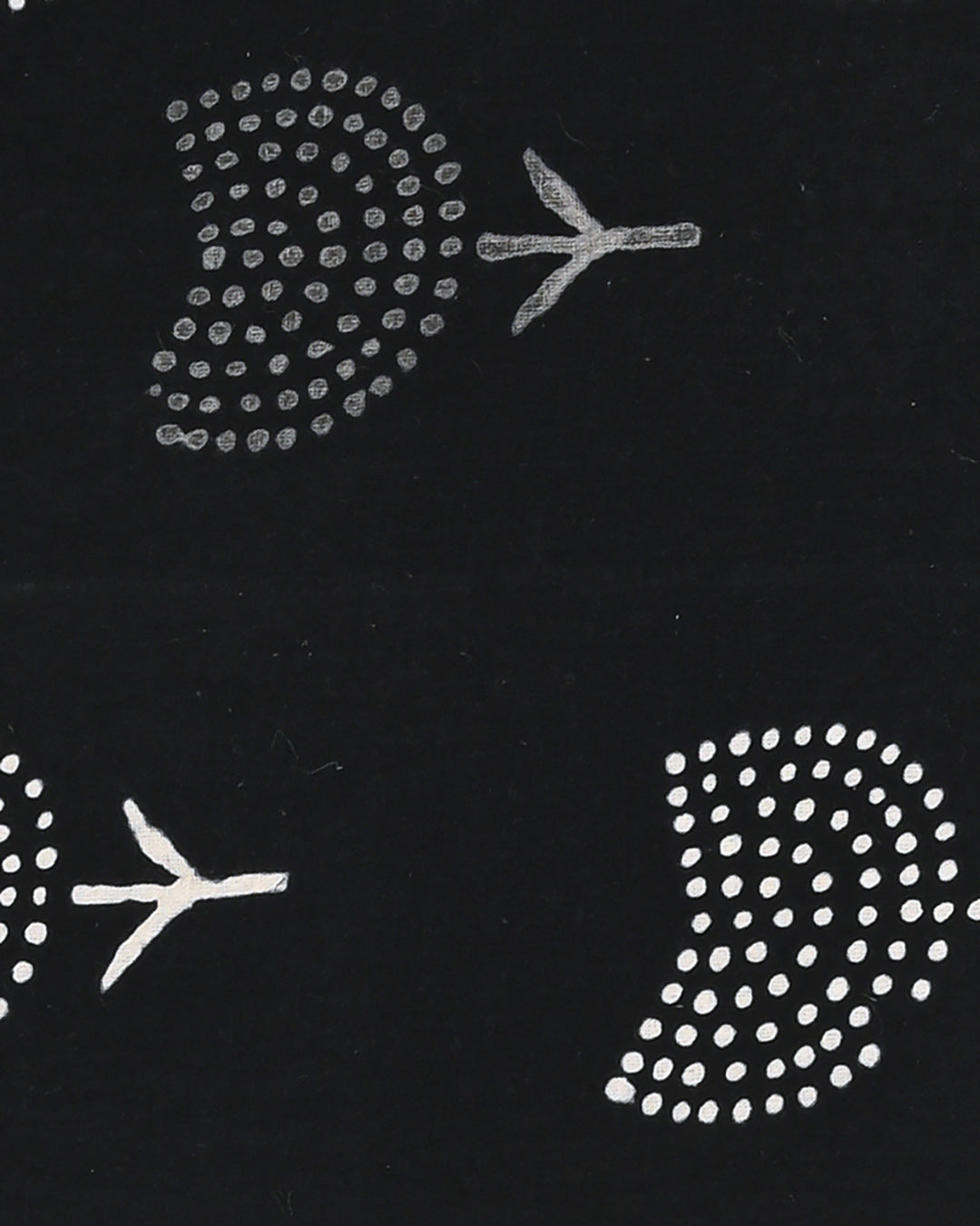 Premium Black and White Sanganeri Cotton Suit With Chiffon Dupatta (EACOTCH59)